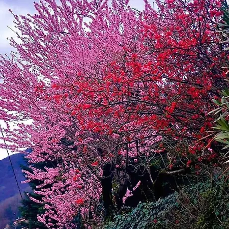 La Casa Della Cindy Сasa de vacaciones Dervio