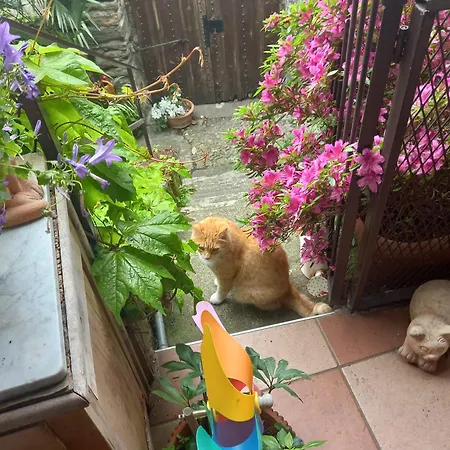 La Casa Della Cindy Сasa de vacaciones