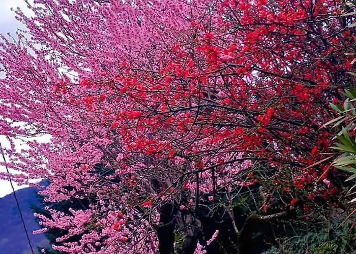 La Casa Della Cindy Сasa de vacaciones Dervio
