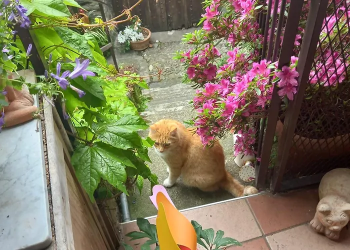 La Casa Della Cindy Ferienhaus